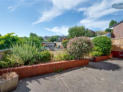 Picture 20